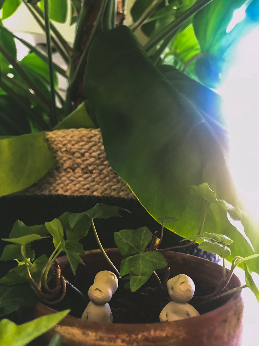 KSicinska's tweet photo. @eatyourkimchi Unfortunatelly we dont have pets and therefore I cannot send you cute animal pics, but on the weekend I did these Totoros and tree spirits (fromPrincess Mononoke) for our plants to have some company, maybe they can keep you some company, too. Get well soon, Martina. https://t.co/5832pZVBra