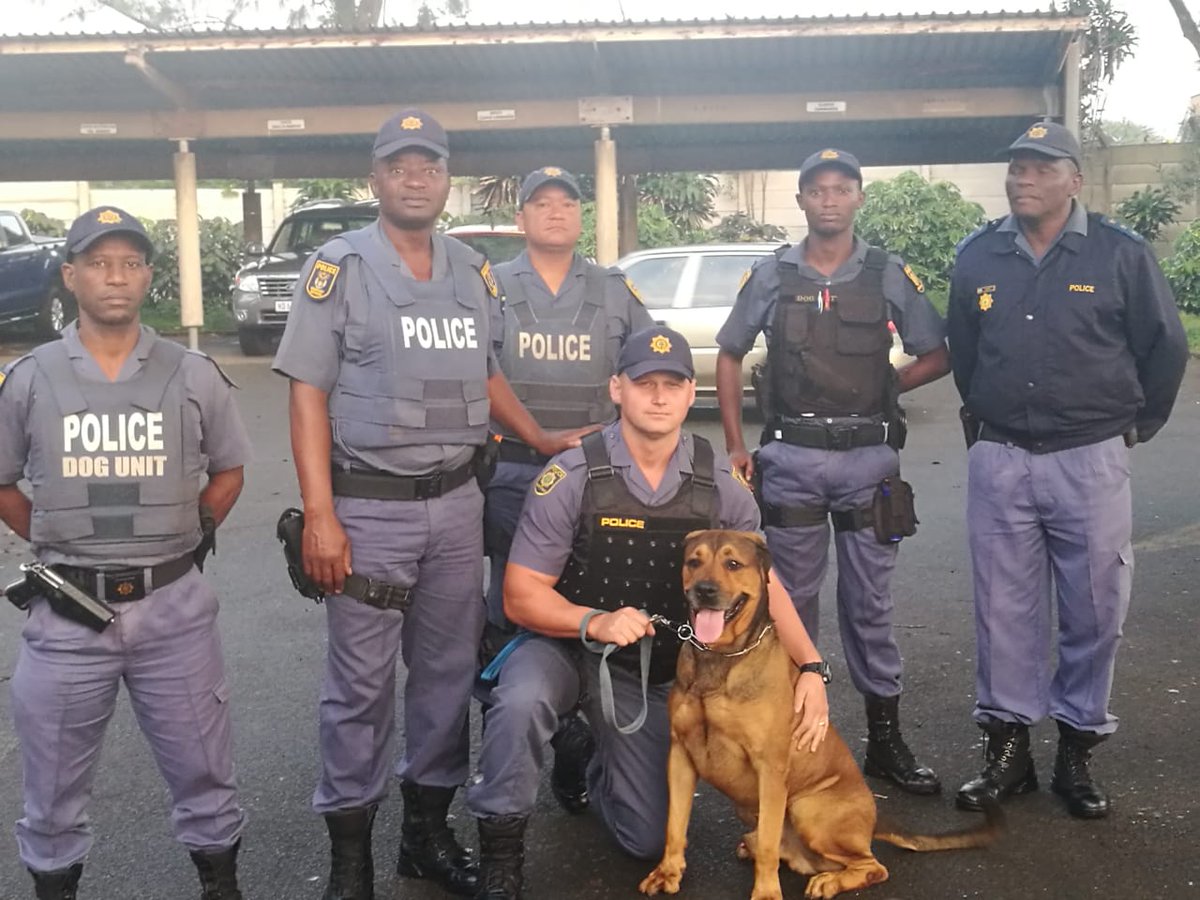 k9 unit saps