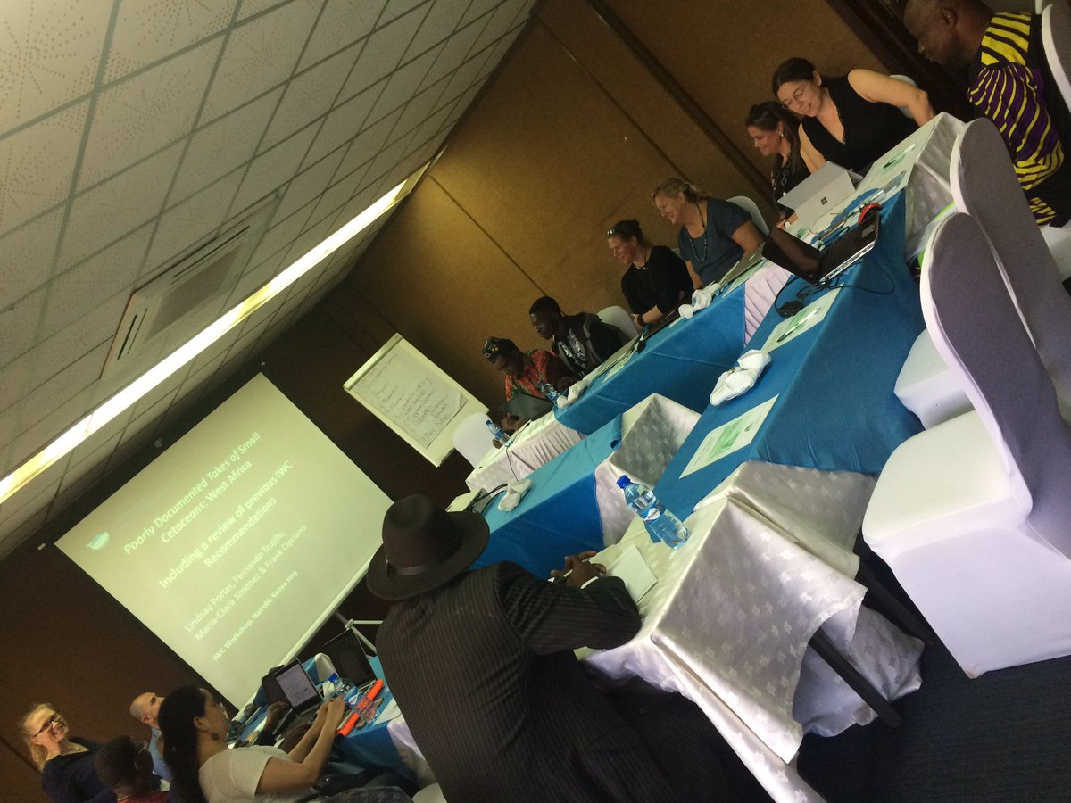 dolmansarahj's tweet photo. Observing day 1 of the 3rd  @iwc_int Aquatic Bushmeat Workshop - understanding the takes of small cetaceans for food, bait &amp; other uses in African waters https://t.co/zpz79LpyoU