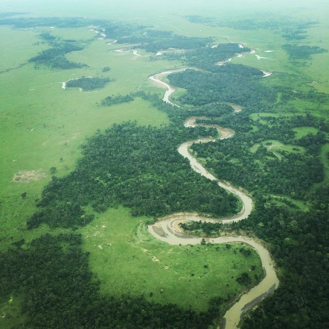 Aerial view of the #MaraRiver.
📷 📷 Adam Bannister.
#BeautifulKenya 🇰🇪 🇰🇪 🇰🇪
#ScenicKenya 🇰🇪🇰🇪🇰🇪