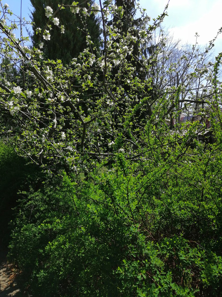 Only Love, only the Truth is True.  Under each fear is the freshness and sweetness of Love.  All I need to do is stop in fear, the truth returns.