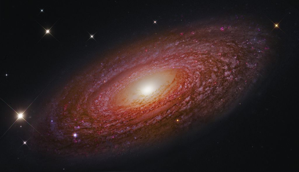 Esta espectacular galaxia espiral es NGC 2841, una de las más grandes conocidas. Tiene un diámetro de 150 000 años-luz y está a 46 millones de años-luz, en la constelación de la Osa Mayor, destaca por lo irregular de sus brazos espirales. Crédito: R. Colombari #FelizMartes
