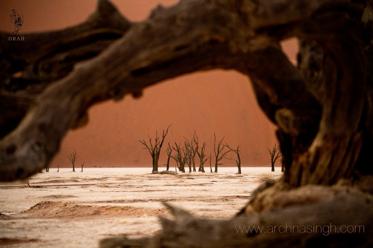 Sossusvlei is a salt and clay pan situated in the largest conservation area in Africa, the Namib-Naukluft National Park. The word originates from two languages, Nama and Afrikaans and translates to “dead-end” (from the Nama word “Sossus”) “marsh” (from the Afrikaans word “Vlei”)