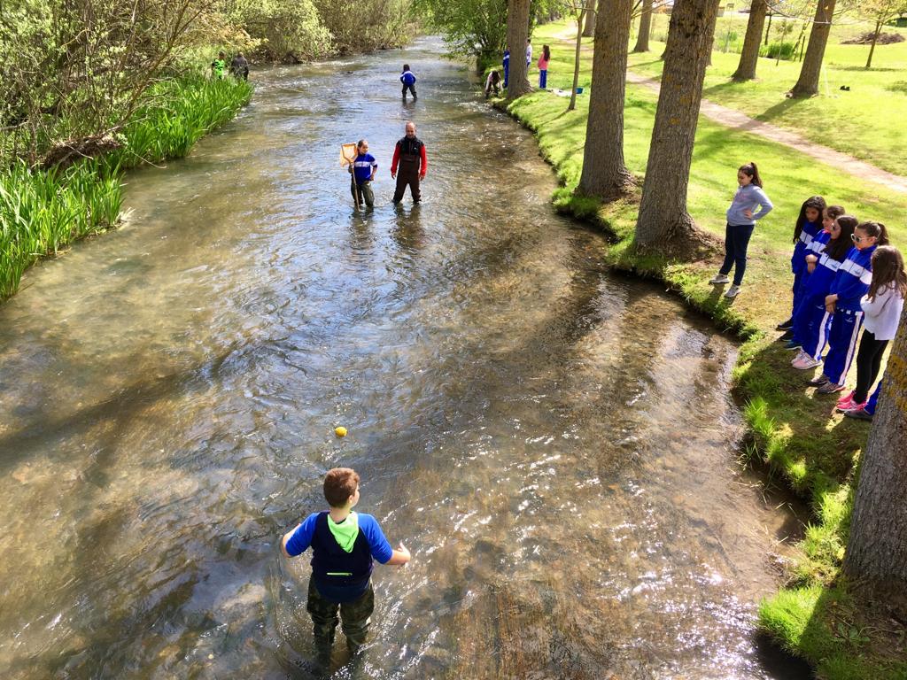 otsrural's tweet photo. 🔎 Este análisis del estado ecológico del río Ebro con el CC San José (Reinosa) ha sido el último de este curso. 
🦆 ¡Volveremos en el otoño!
🌱 Todavía nos quedan más actividades @ExploraTuRio en los coles hasta el verano: "Mi primer herbario", concurso de fotografía, EcoRío... https://t.co/APbOhuimsh