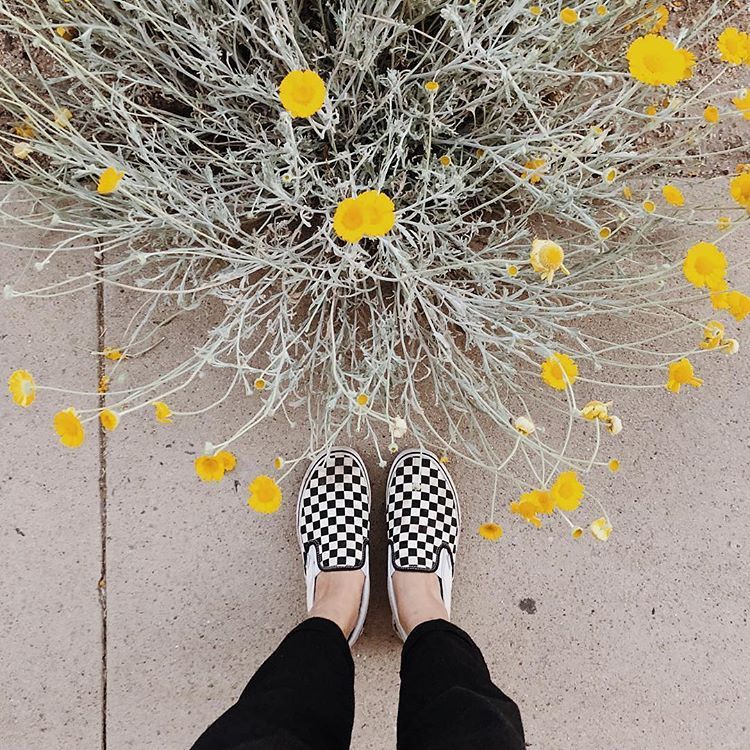 brandcollectsa's tweet photo. Cash Your Checks
.
.
.
SHOP @vans in STORE & ONLINE today 🌞
#fresh #mondaymood #vans #myvans #lastdaysofsummer #love #mood #lotd #style #capetown #instagood #instadaily #shoponline #steezy #brandcollective #fresh #flex #slayallday #StreetStyle https://t.co/IwMZRn6BGF