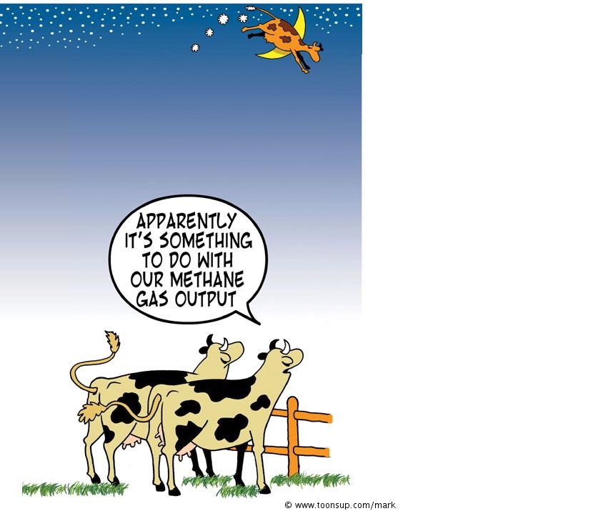 Licia Corbolante On Twitter Perche In Inglese Essere Al Settimo Cielo Si Dice Over The Moon C Entra Una Mucca Https T Co L6txngwcrg