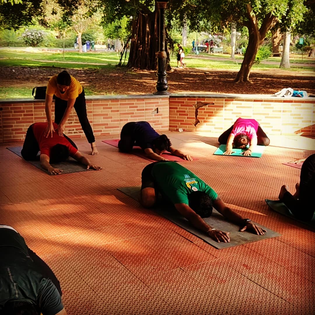 yogatute's tweet image. 