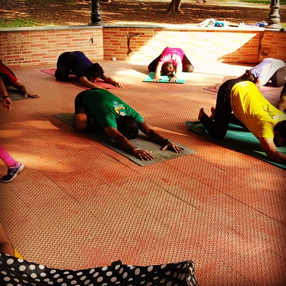 yogatute's tweet image. 