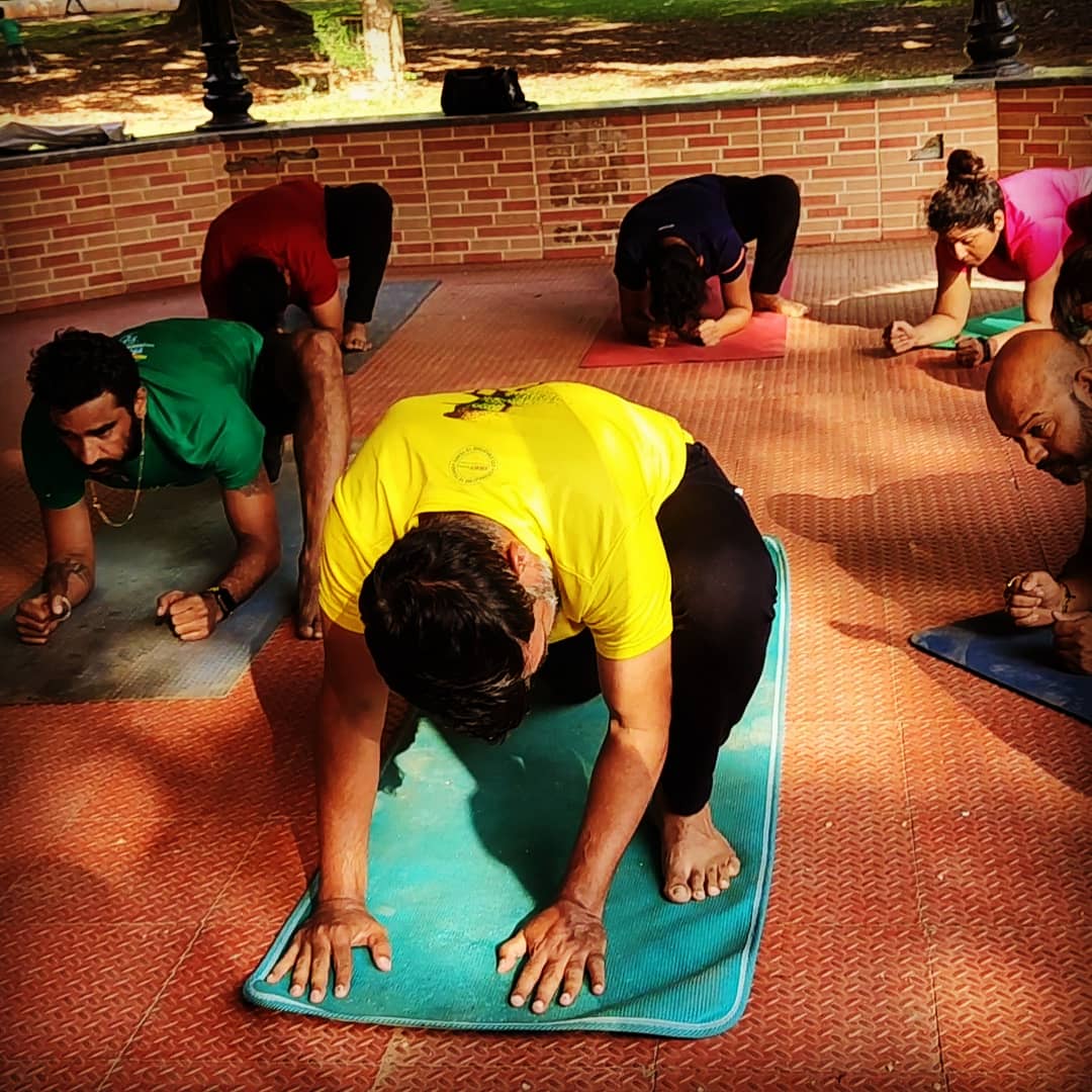 yogatute's tweet image. 