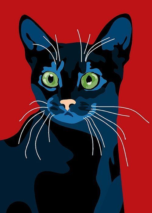 Just Pinned to Cats: immagini - …Sebastiano Ranchetti… bit.ly/2VKcDnV
