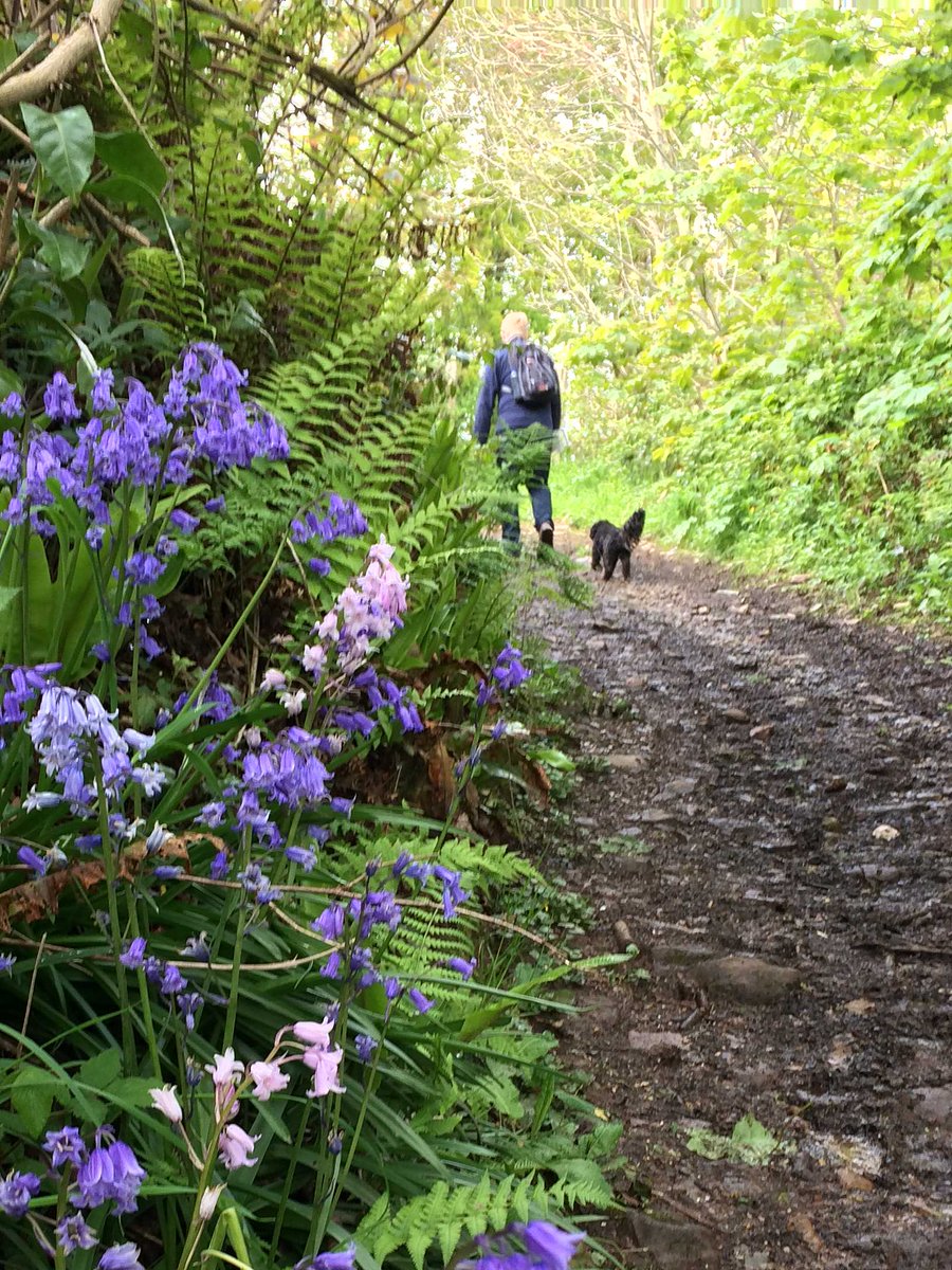 Visit Exmoor tweet media