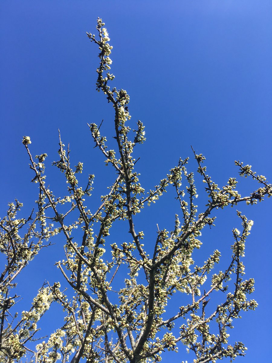 Visit Exmoor tweet media