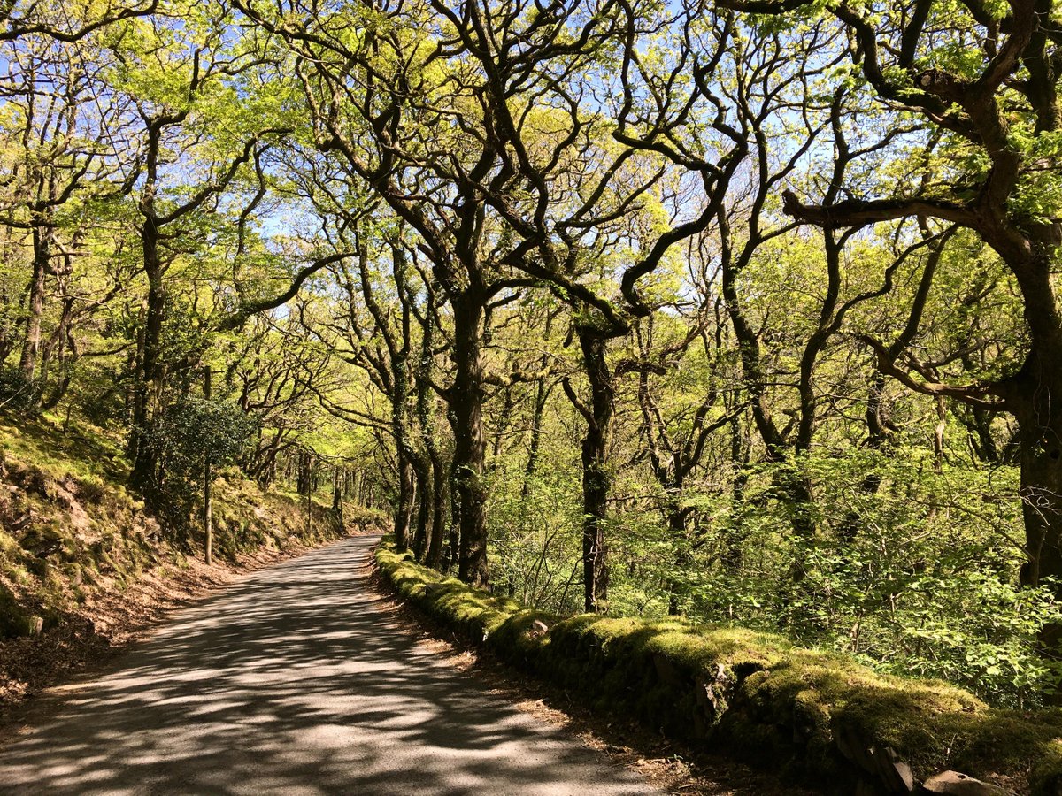 Visit Exmoor tweet media