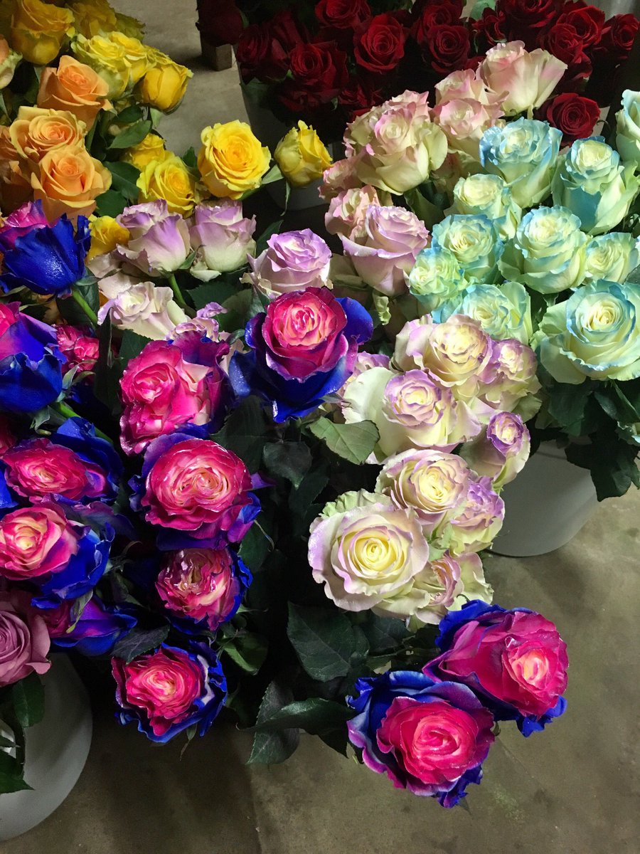 Wickman Gardens tweet media