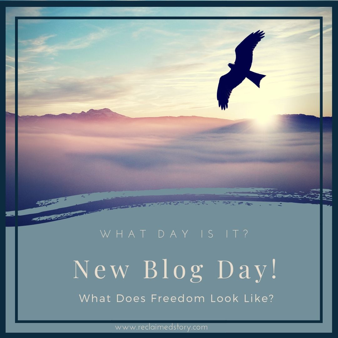 What does living in freedom look like? Our belief in the gospel is an on-going expression of our need for Jesus. It is an every-day choice to believe in the truths of the gospel in every thought, situation & moment. 
#LivingInFreedom #FreedomInChrist #Jesus #NewBlogPost