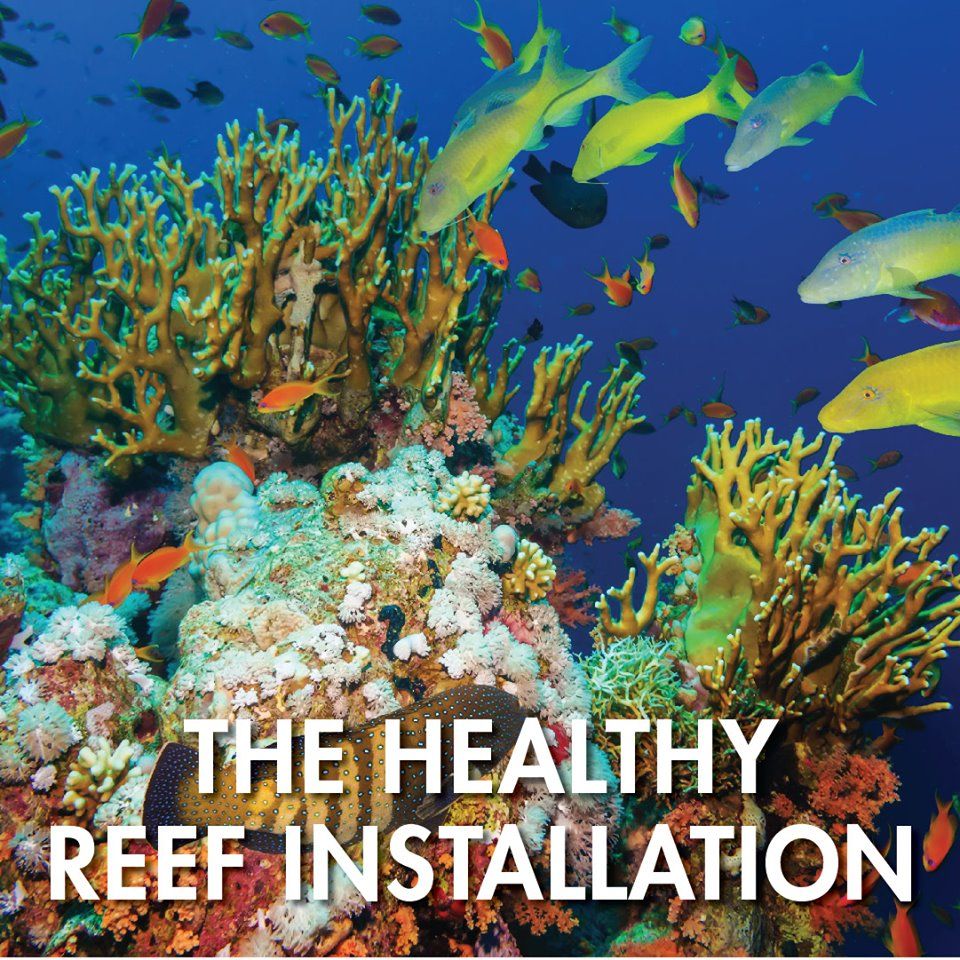 Tahukah Anda, terumbu yang "berisik" itu adalah terumbu yang sehat? Datang dan kunjungi Ocean Fest dan jelajahi cara membuat suara ikan dengan instrumen spesial yang dibuat khusus di S.E.A. Aquarium, dari 17 Mei - 30 Juni: buff.ly/2H3AtCK