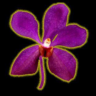 Thanks to <a href="/YelpMiami/">Yelp Miami</a> for helping to spread the word about the #WallflowerGallery 22nd Anniversary Celebration coming to <a href="/ChurchillsPub/">Churchill's Pub</a> THIS SATURDAY! Get tickets online at bit.ly/Wallflower22. yelp.com/events/miami-t…