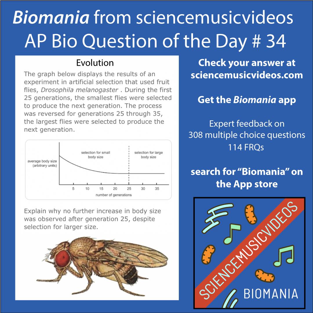 AP Bio QoD #34
SUBSCRIBE:tinyurl.com/y3kxwatj            
Buy Biomania (AP Bio Test Prep App): tinyurl.com/y2kllqg7            
#apbiology #apbiologyproblems #apbiologytest #apbiologyteacher #sciencemusicvideos #apbiologytestpreparation #biologyteacher #biologyquiz #biology