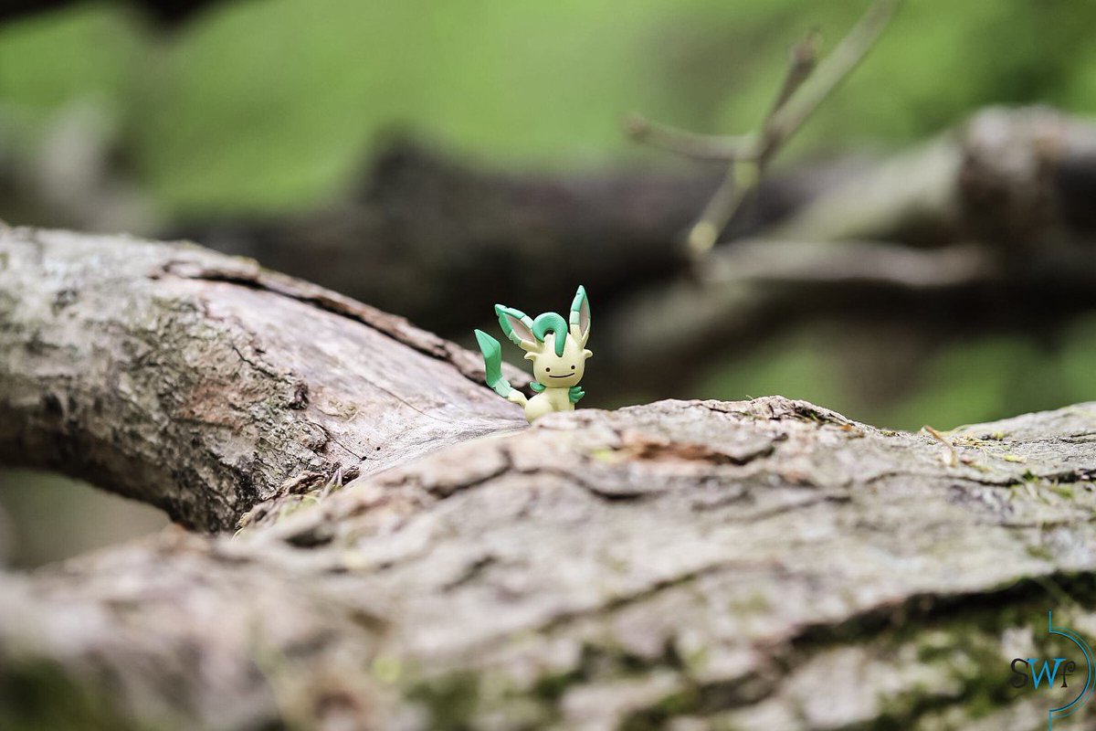 somewildpixels's tweet photo. Bleb.
#pokemonphotography https://t.co/C8sja981Vt