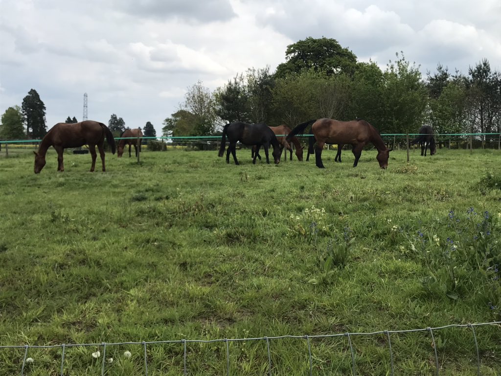 Material Matters tweet media