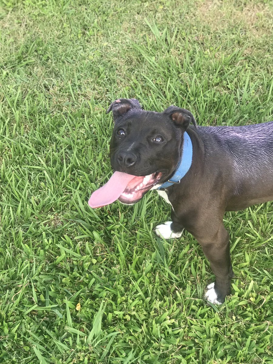 trappjoe1's tweet image. 🐍🐍🐍