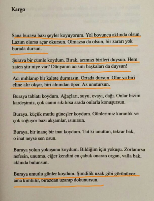 Sen bir şiir yazmamışsın Birhan Keskin. Sen her dara düştüğümüzde, hayata karşı kendimizi güçsüz hissettiğimiz her anda, gardımız düşer gibi olduğunda; bizi tutup kaldıracak, bize güç verecek bir manifesto kaleme almışsın.