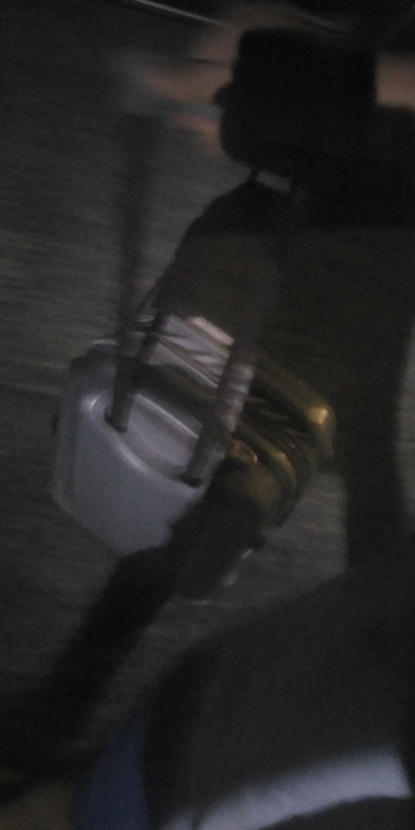 nichirren's tweet image. #layas