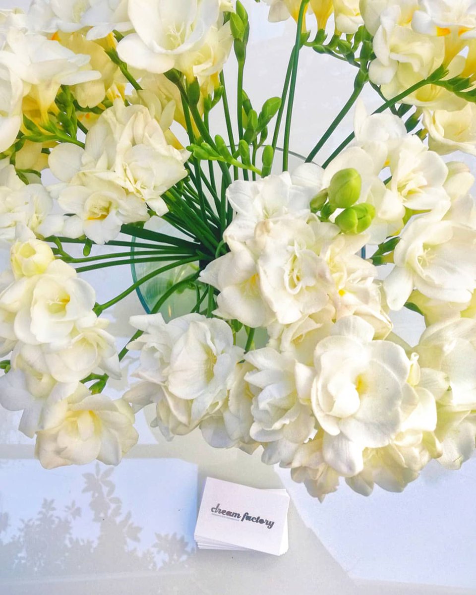 dreamfactorylab's tweet photo. Ma quante belle #fresie a decorare la nostra #location 🌾 profumata, accogliente e luminosa...cosa desiderate di più? 😎
Vi aspettiamo per i vostri #eventi!
#eventiamilano #eventimilano #milanoeventi #milanolocation #locationmilano #locationscouting #locationeventi #spazioeventi https://t.co/CCVXNa4bEt