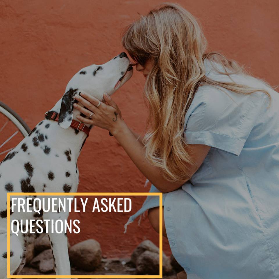 It is never a good time to be faced with an end of life situation of your pet. But the more information you have, the more likely you are to have the most gentle and dignified experience. Find answers to frequently asked questions on our website 👇
lnkd.in/eRB4_D6