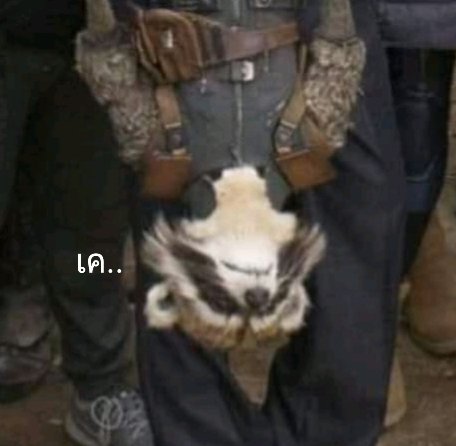 [ว่าง]โรเบิร์ต ดาวินสัน ฮาเร็ม เคย์ tweet media