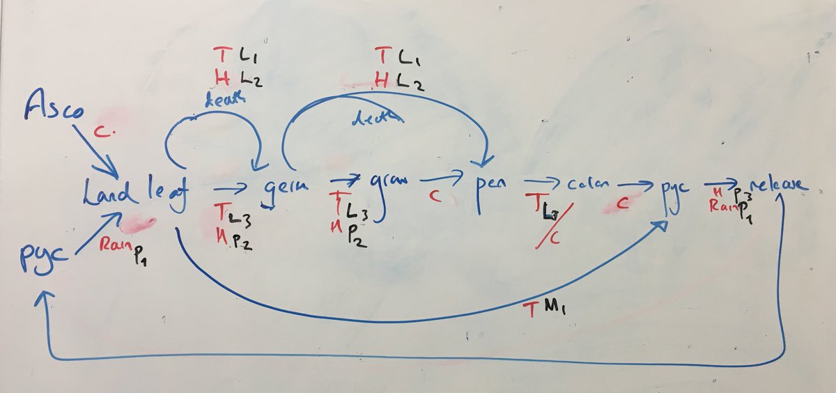 Dr Thomas Chaloner tweet media