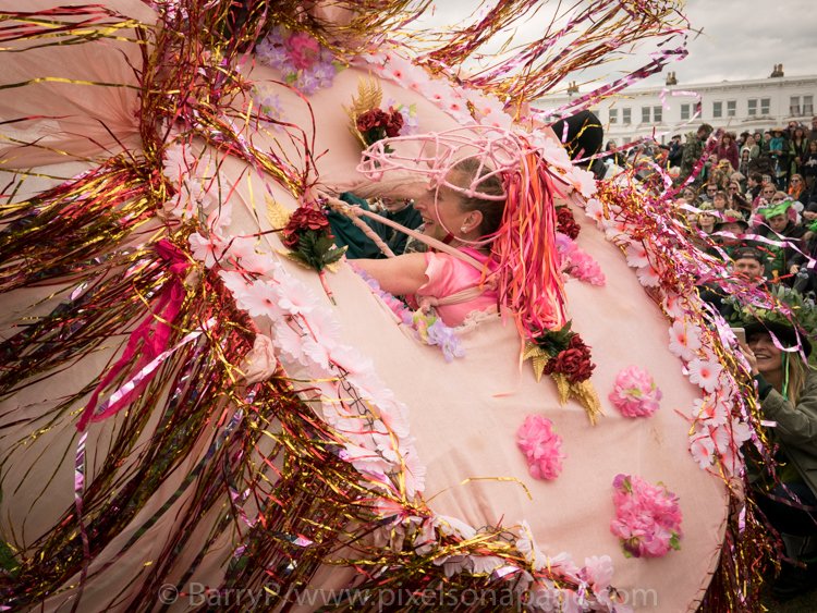 Jack in the Green...#Hastings ... @hastingsjitg @MuseumofBritish #JackintheGreen <a href="/companygreenman/">𝔊𝔯𝔢𝔢𝔫 𝔐𝔞𝔫</a> #hastingsjackinthegreen #Oss Loving Ann's "Oss" #Fowlerstroop <a href="/AnnaFCSmith/">Anna FC Smith</a>