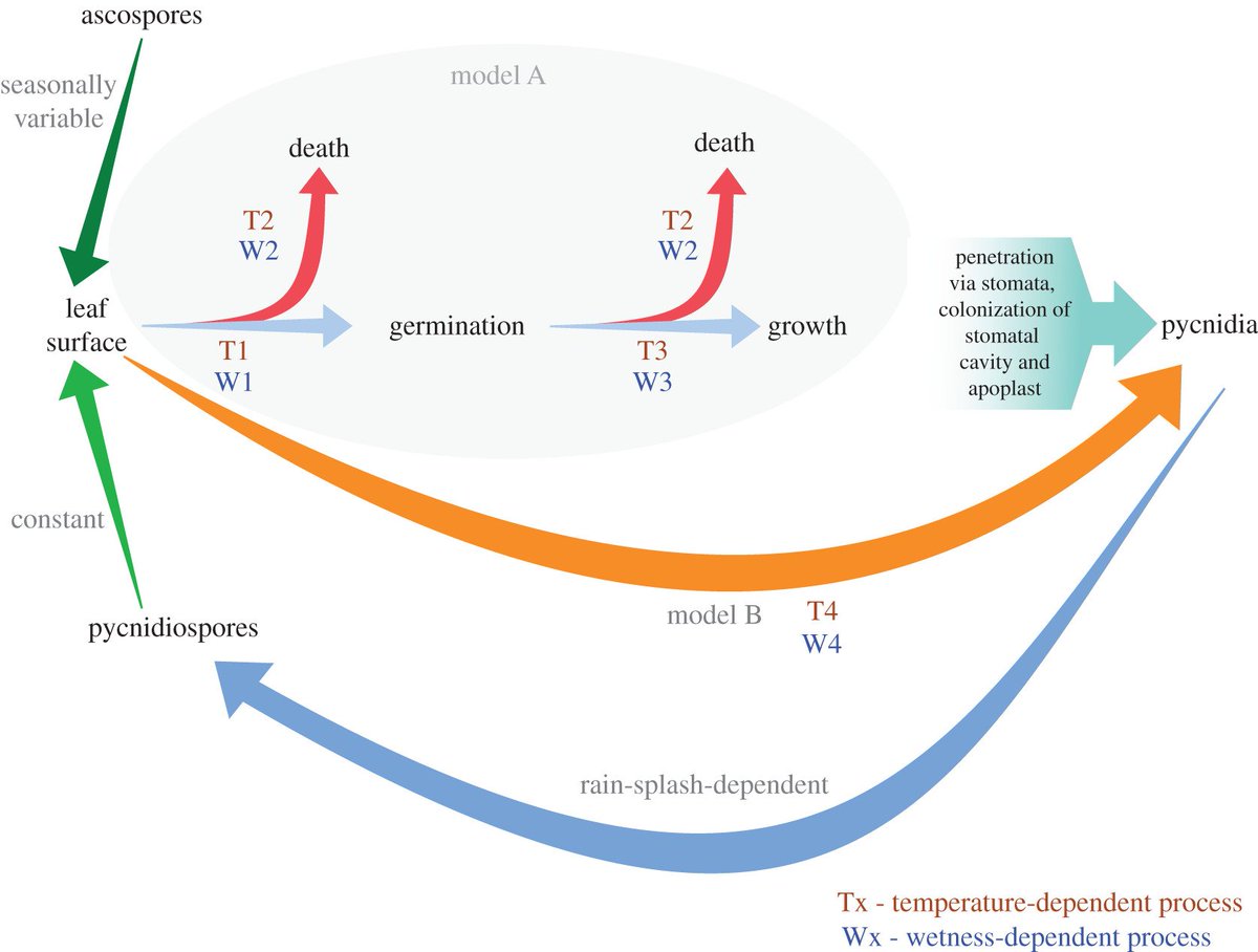 Dr Thomas Chaloner tweet media