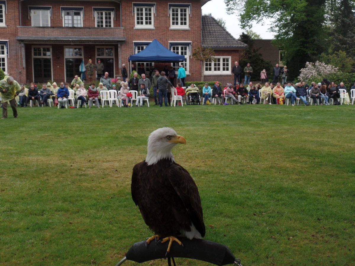 GVeldscholte's tweet photo. @DTZC  Roofvogelshow op 't Bouwhuis was een geweldige ervaring voor menig cliënt https://t.co/JjZtoVunEr