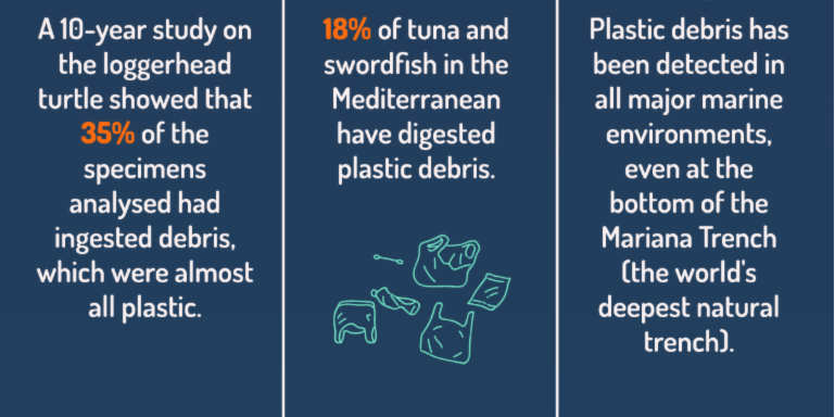 In the last 50 years, 60% of global species have been destroyed. Our planet is at a crossroads and it’s time to act. Click below to see why bio-diversity truly matters: thecrystal.org/why-biodiversi…   
   
#EndangeredSpeciesDay2019