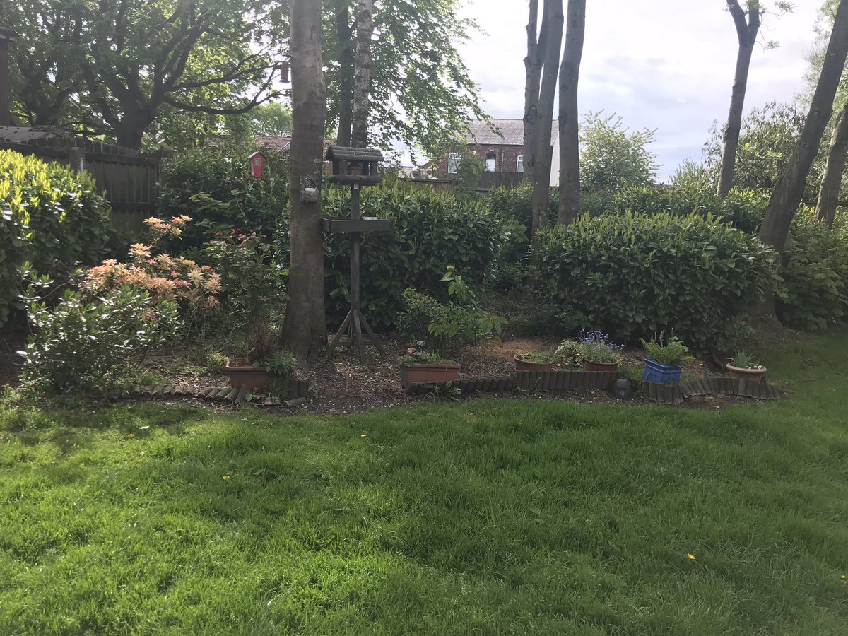 Out in bardsley today, trying to engage with customers to see what they are interested in doing in the community. Look at this lil patch our customers take pride in 🌱 🦅