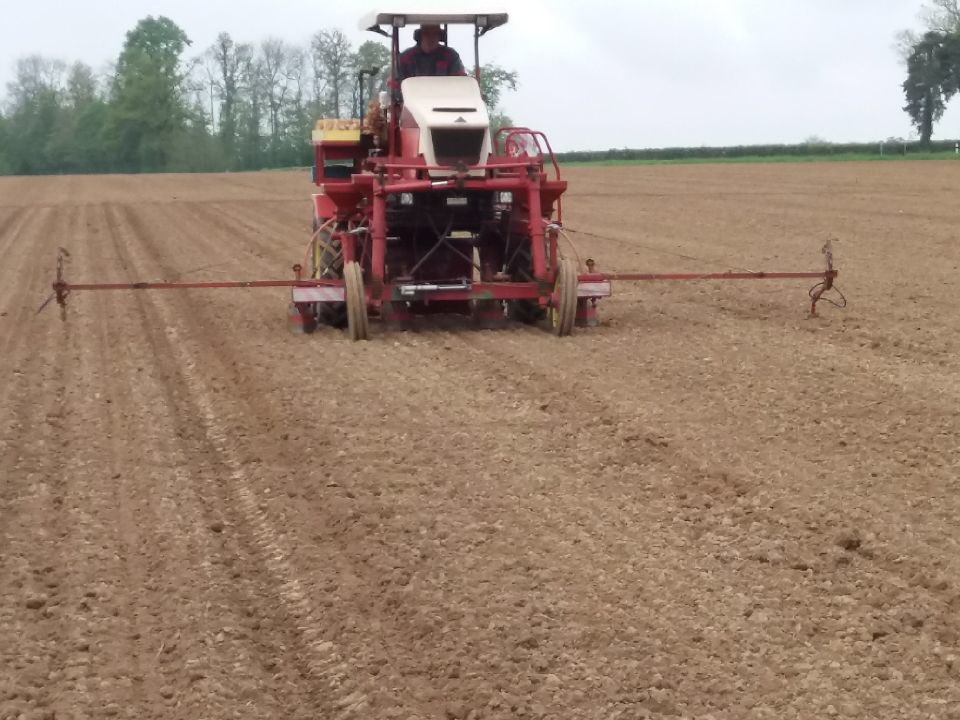 appro_vert's tweet photo. Semis des essais variétaux #maïs grain et fourrage chez un de nos clients 🌽 https://t.co/qhywVGPTvw