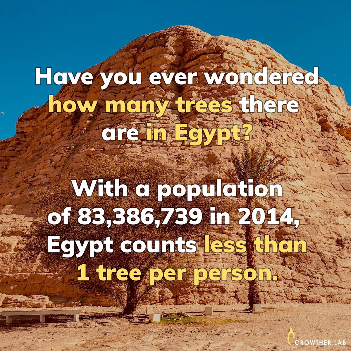 CrowtherLab's tweet photo. Not less than additional 15 million trees are needed for #Egypt to have as many #trees as there are inhabitants. π΄
#howmanytrees https://t.co/vM193SZ6Qd