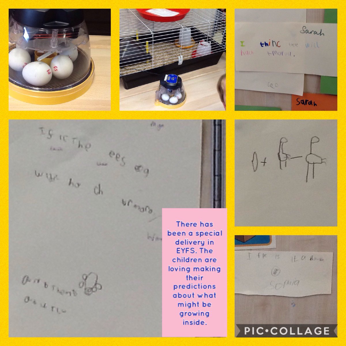 navigationEYFS's tweet image. 