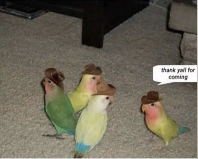 el triunfo de la clase obrera tweet media