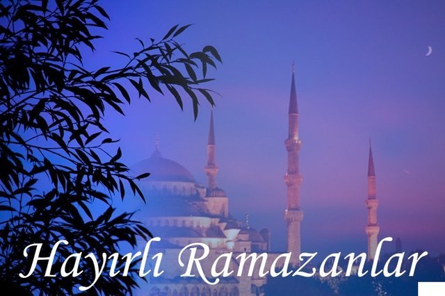 Güzellik, birlik, beraberlik dolu, her zaman bir öncekinden daha güzel ve mutlu bir Ramazan geçirmenizi diliyorum. Şanlıurfa Tüm Emlakçılar esnaf odası yön. kur. adına Başkan Selehattin Tokmak