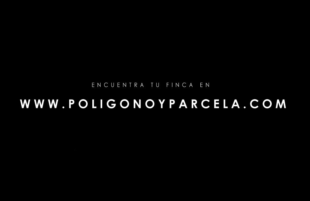 poligonoparcela's tweet photo. La web https://t.co/xanUGDjUq1 está especializada en parcelas rústicas y su entorno. 

Una herramienta creada para el agricultor y empresas del medio rural, con el objetivo de dinamizar el campo, fijar la población al medio rural y facilitar el relevo generacional. 

Visítanos! https://t.co/0Yg3441Xvc