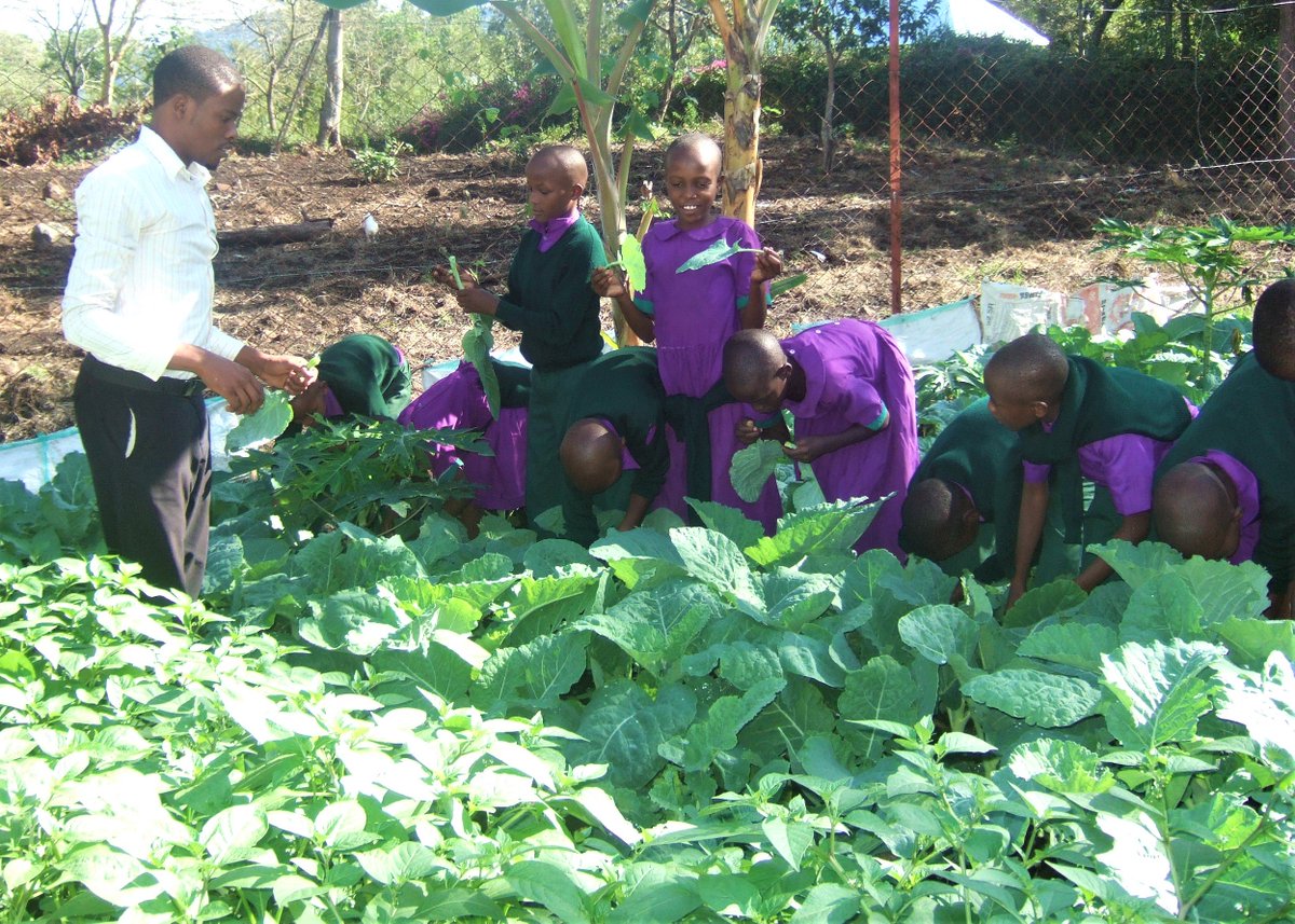 EMCSTz's tweet photo. Our veggie garden with our happy gardeners #Tanzania https://t.co/fLRFNb8lJ0