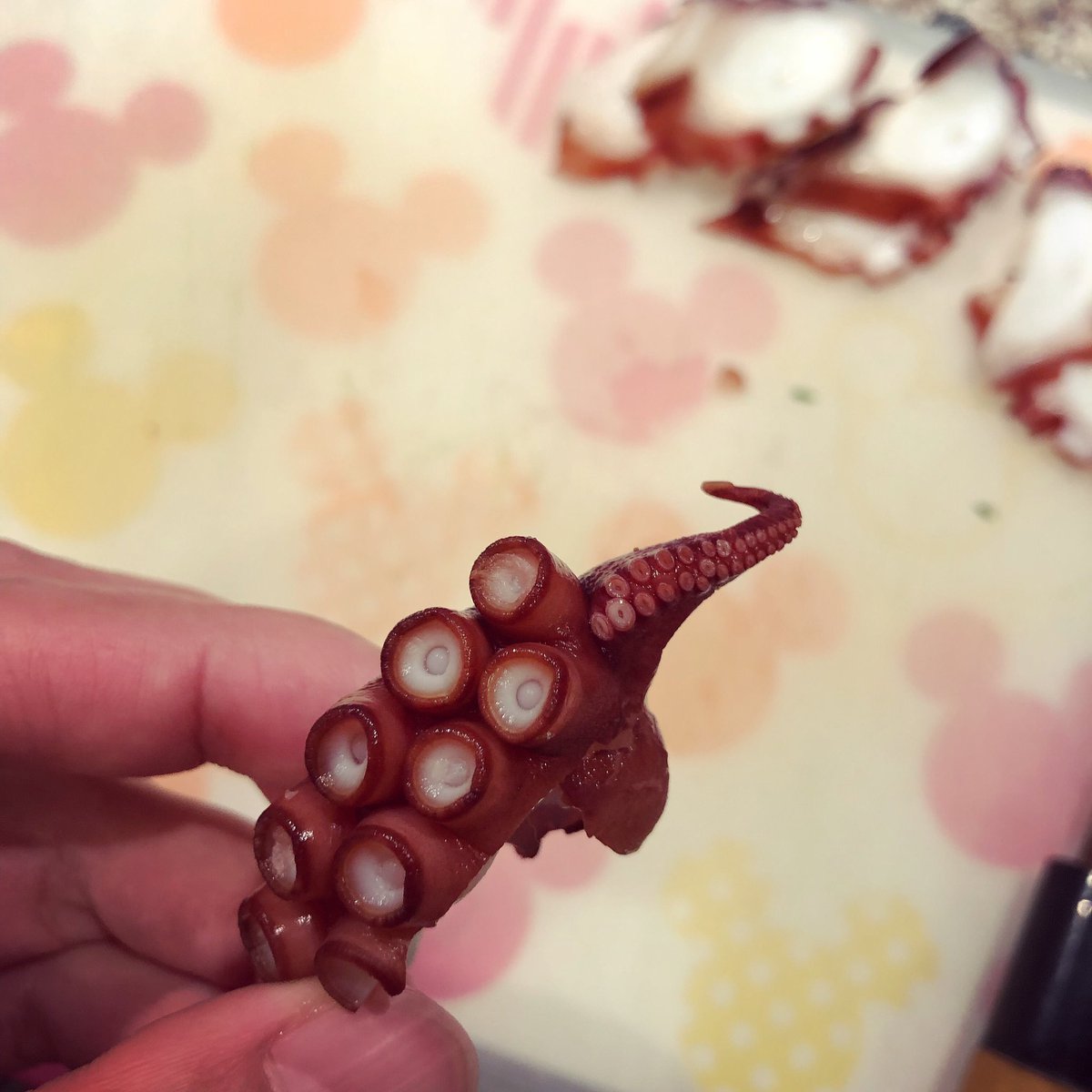 みっちぃ 石崎理絵 ええええ なんやこれ 何回も確認したよ タコの足 再生してる ちっちゃいのんが生えてるよ 初めてやー ちなみに国産タコ お腹が空くと自分の足食べちゃうらしいね なんかレアやから この部分は私が食べよう みっちぃ