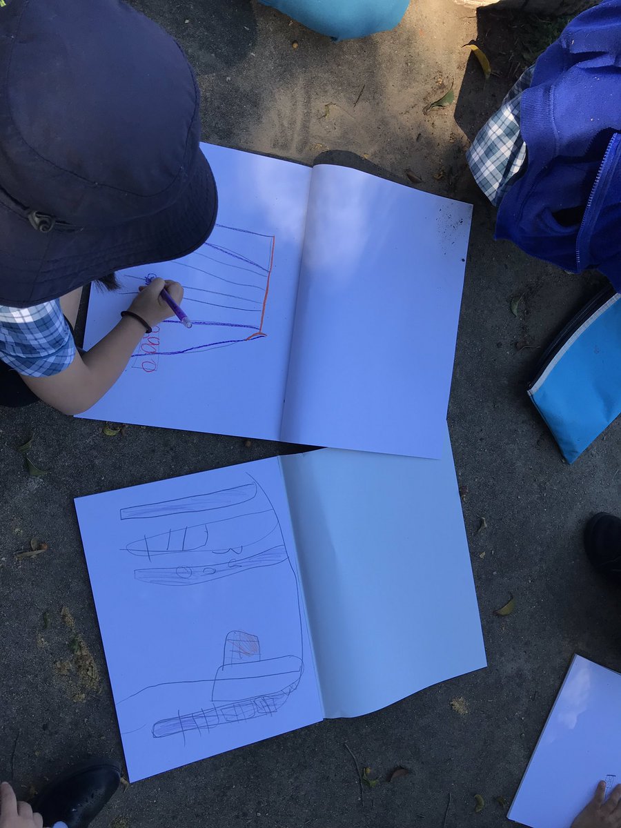 1C Wild Things tweet media