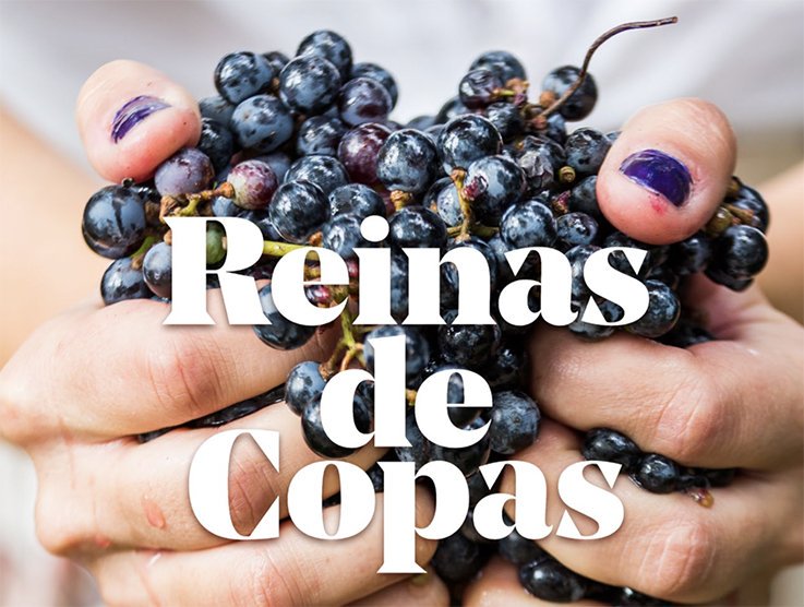 dmanso73's tweet photo. Arranca en @Fenavin_Oficial la ponencia de la "Reinas de Copas" de @ZoltanCsabaNagy vinos con alma de mujer 🍷
#vino #libros #winelovers https://t.co/dodxIoo6yG