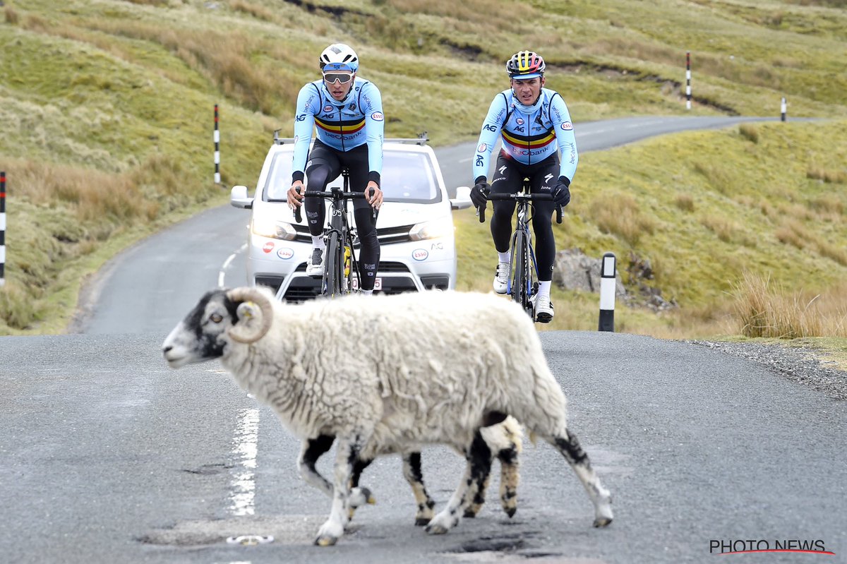 Vincent Kalut tweet media