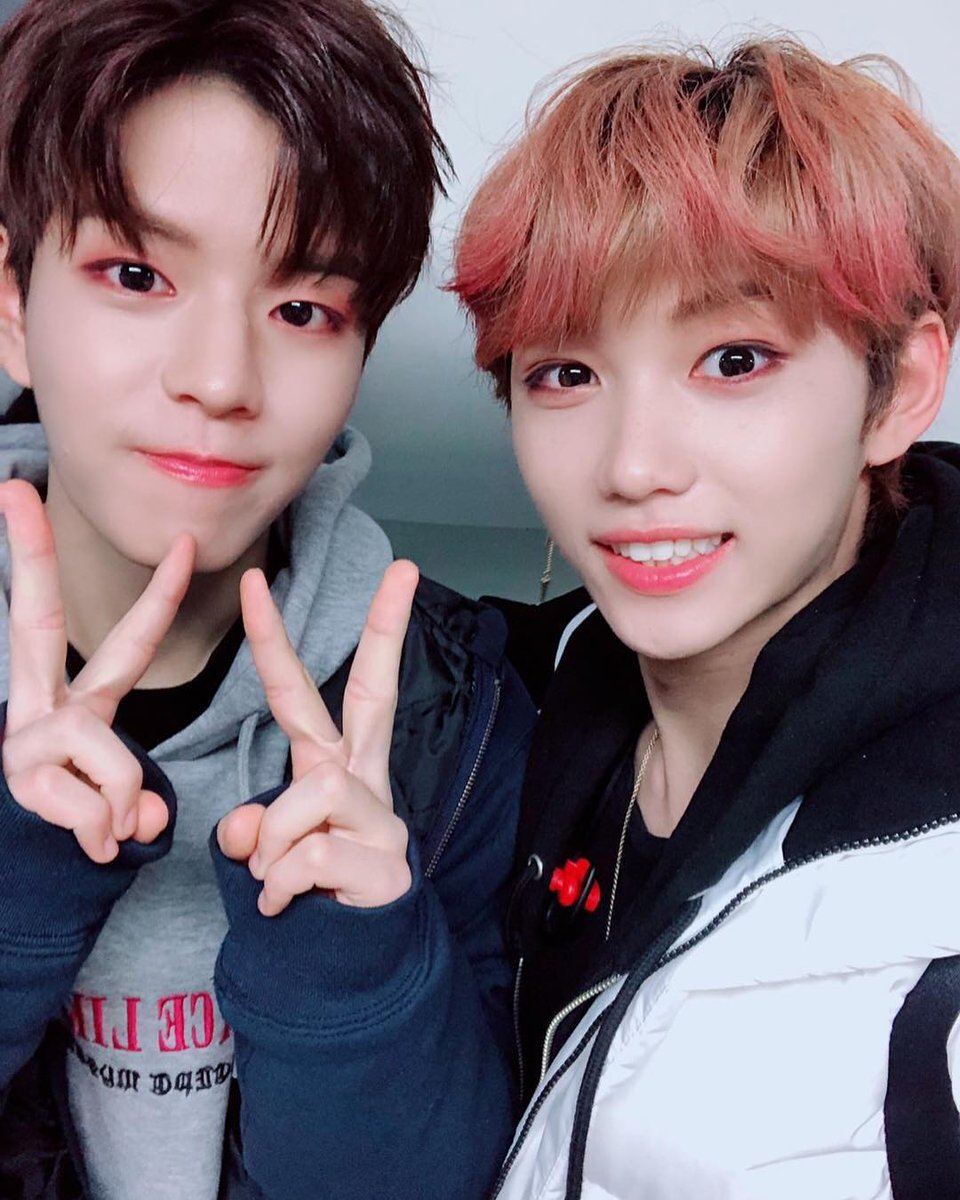 Stray kids джисон и хенджин. Бан чан и минхо. Хан джисон. Stray kids минхо и джисон. Ли минхо и джисон.