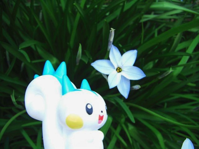 フィギュア野外撮影者がポケモンの指人形を連れ撮影して回りながら御三家の威光を受けた 愛知 名古屋城エリア旅行記 Togetter