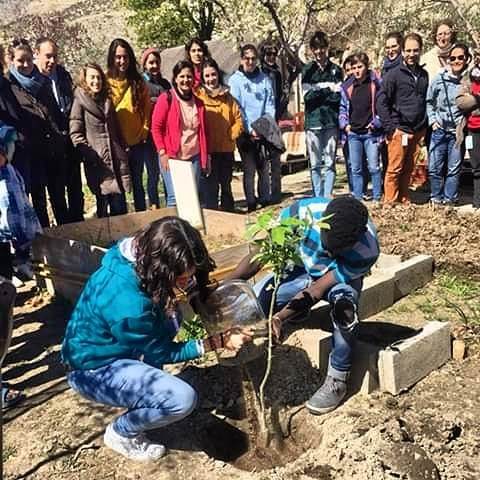 Un proyecto regenertivo bit.ly/2WptEko